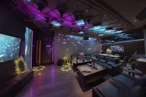 塔城夜场招聘,塔城酒店KTV招聘,薪资优渥,优厚福利等你挑